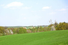 新时代新征程新伟业·两会精神进基层丨广阔农村大有可为