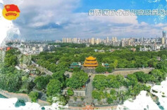 青年发展型城市|图解：岳阳共青团助力高质量发展的决议