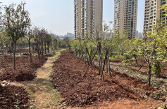 天心区“点线面”提升疑难工单处置质效