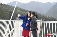 张家界更漂亮了，香港市民对山景很向往”