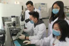 文利新：数十年磨一剑 守护掌上明“猪”