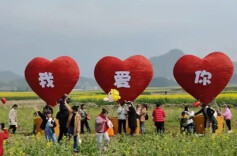 稻草也能变黄金？“稻草姑娘”陈卓琳把业务从怀化做到了栖凤渡