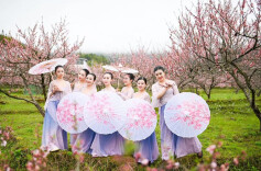 “春风十里•桃醉桂东”2023高山桃花节开幕