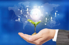 民政部：2022年各地依托行业协会商会招商引资超2.5万个项目