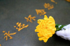 两部门规范网络祭扫秩序倡导文明新风尚