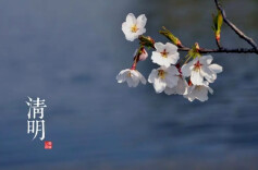 民政部：今年清明节1039.46万人次选择绿色低碳祭扫