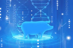 两会精神进基层丨当好科学养猪“领头雁”