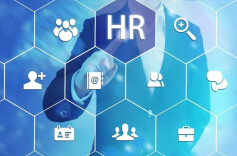 建强用好这座“桥” ——我省人力资源服务业高质量发展观察