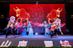 去山之南梦之境 “藏源山南”到长沙邀客