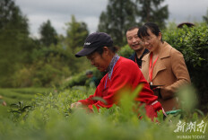 图片新闻｜一线察实情 精准护“三农”