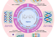 南华大学药学专业本科生在国际Top期刊发表论文