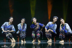 一场“专精特新”的舞蹈风暴  ——评原创舞蹈专场《我和我的祖国》