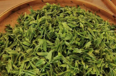 楚国良专栏 | 又是一年春茶香