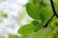 湘江周刊·悦读丨繁华三千，至味清欢