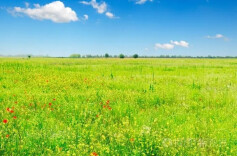 湘江周刊·悦读丨以坚“抉”之勇　“择”持久之爱  ——《抉择：鼎革之际的历史与人》读后