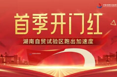 首季开门红 湖南自贸试验区跑出加速度