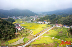 肖家村：奏响宜居宜业振兴曲