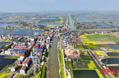 四季红镇：移民小镇兴产业文化铸魂续新篇