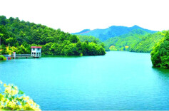 岳阳经开区西塘镇：发展绿色经济 赋能乡村振兴