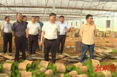 岳阳经开区：牢守耕地保护红线和粮食安全底线 确保粮食生产任务按时按质完成