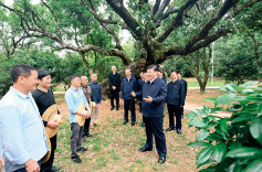 习近平：加快构建新发展格局 把握未来发展主动权