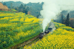 探秘古蜀文明、感受花香十里 北京－九寨沟方向主题旅游专列发车