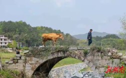 湘江周刊·艺风丨翁婿恩义桥，永济后辈人