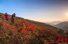 4月28日举行！相约2023年湖南生态旅游节暨第十四届湖南·阳明山“和”文化旅游节（杜鹃花会）