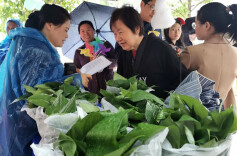 品质人居绿色守护