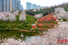 学士街道：葡萄筑盛景 文旅绘振兴