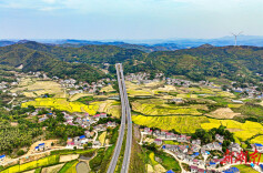 岳家桥镇：屋场添风光 农旅奏新章