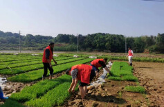 团湘潭县委深入开展“助力春耕备耕”志愿服务行动