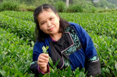 县域劳动者风采｜三十年，一杯茶
