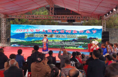 新化寻茶：大熊山原始林里的狂野与温柔