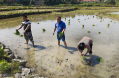 双牌麻江村：这个村支书的心有点“热”