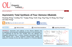南华大学药物设计与研发团队实现百部家族生物碱发散式集群全合成