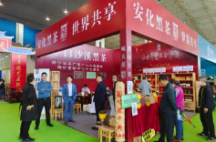 白沙溪参展第十六届潍坊茶博会