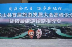 视频￨专家论道，龙山文旅好前景