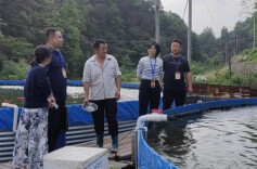 新晃：强化监督实效 助推乡村振兴