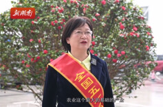 微信好朋友 一半是农民——记全国五一劳动奖章获得者李莓