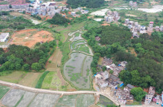 江华：“虾稻共生”引领村民走上致富路