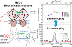 南华大学隆曦孜团队研究取得重要进展