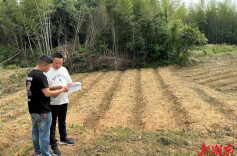 云溪区：“解剖麻雀式”自查自纠整治耕地“非农化”“非粮化”问题