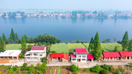 十美堂镇：油菜花开东风起 湖乡小镇春意浓