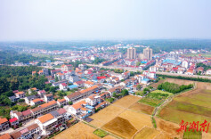 谢家铺镇：稻香小镇产业旺 和美乡村幸福浓