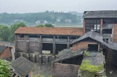 散文丨煤炭坝的春天