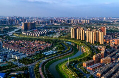 散文丨诗意花雨走跳马