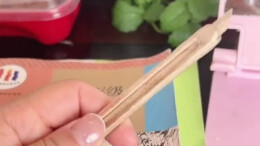 学生用冰棒棍制作“冷兵器” 老师没收后感慨：真是制作精良