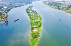 楚国良专栏 | 古桑洲考察行记