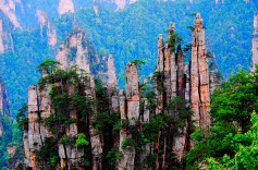 【天人共酿 馥郁香】酒鬼酒：藏在湘西生态里的馥郁酒魂